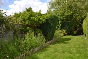 Garden- click for photo gallery